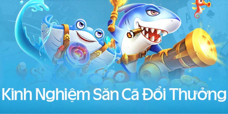 Chọn thời điểm bắn tỉa chính xác